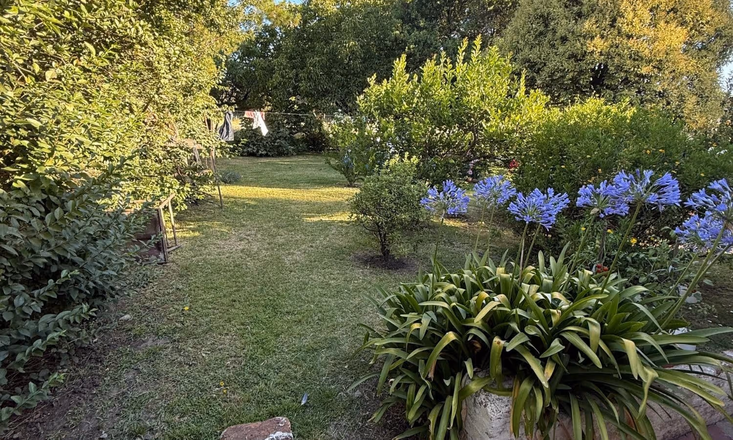 Casa en venta en Balcarce — foto 6