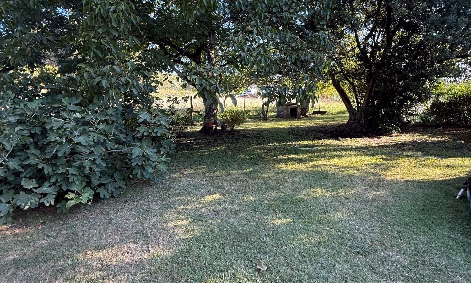 Casa en venta en Balcarce — foto 8