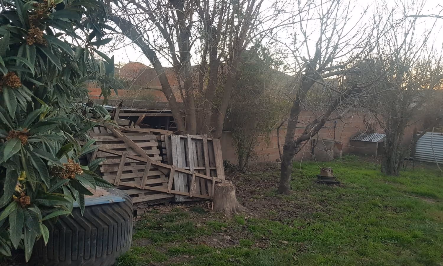Casa en venta en Balcarce — foto 5