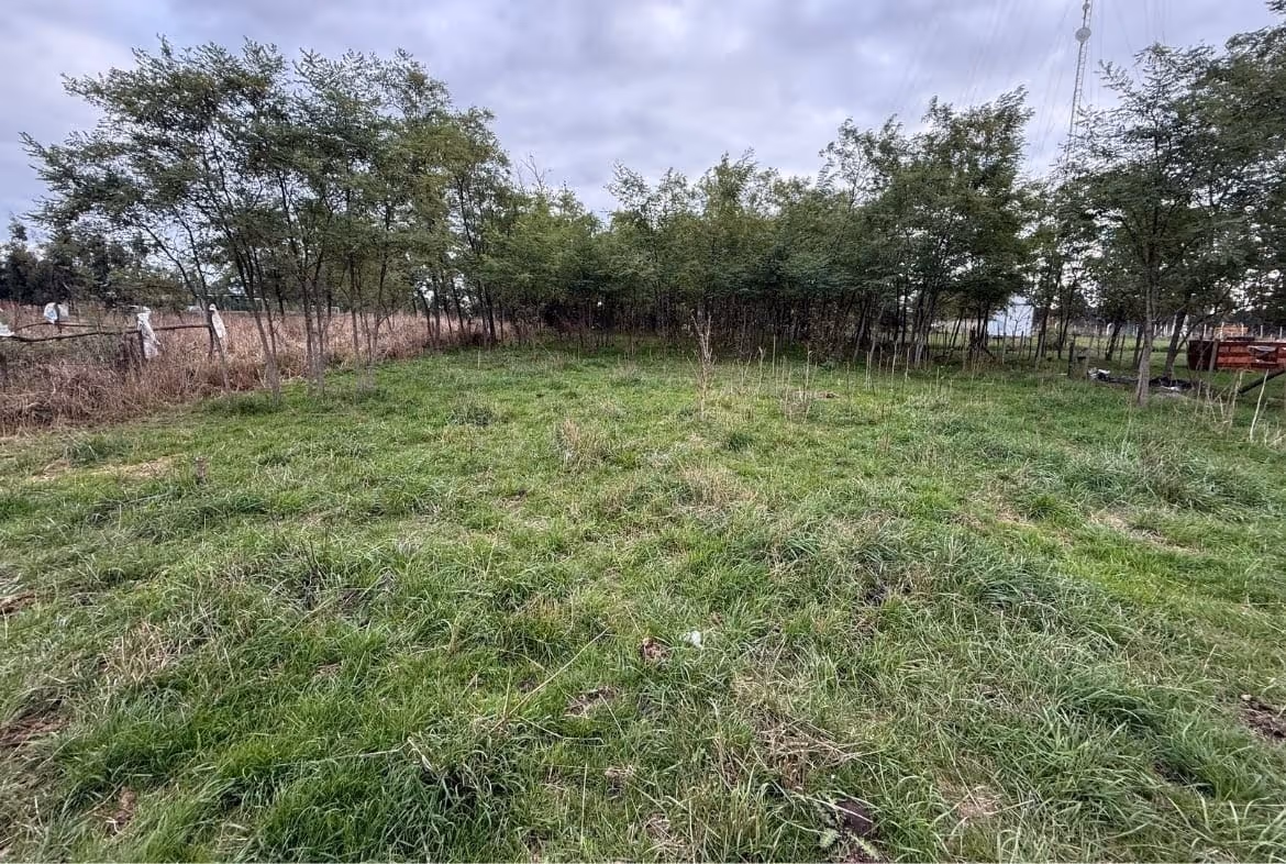 Frente de lote en venta en Balcarce