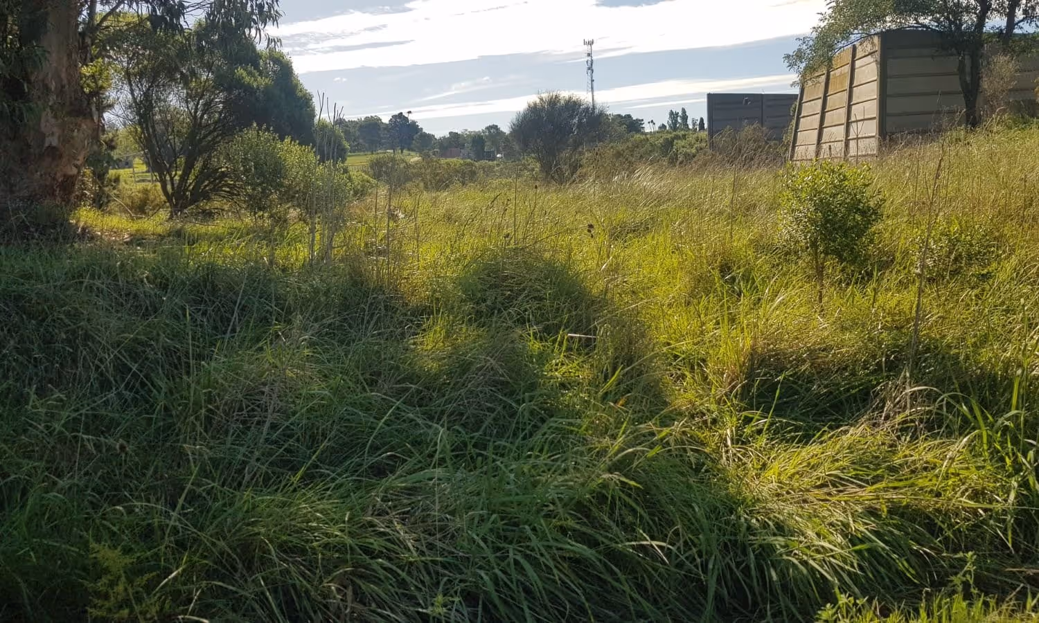 Lote en venta en Balcarce — foto 2