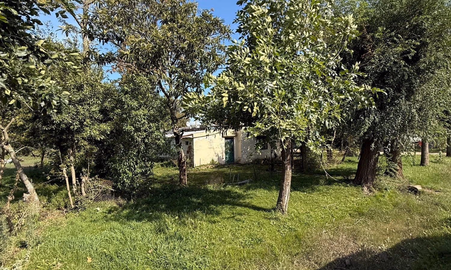 Lote en venta en Los Pinos — foto 4