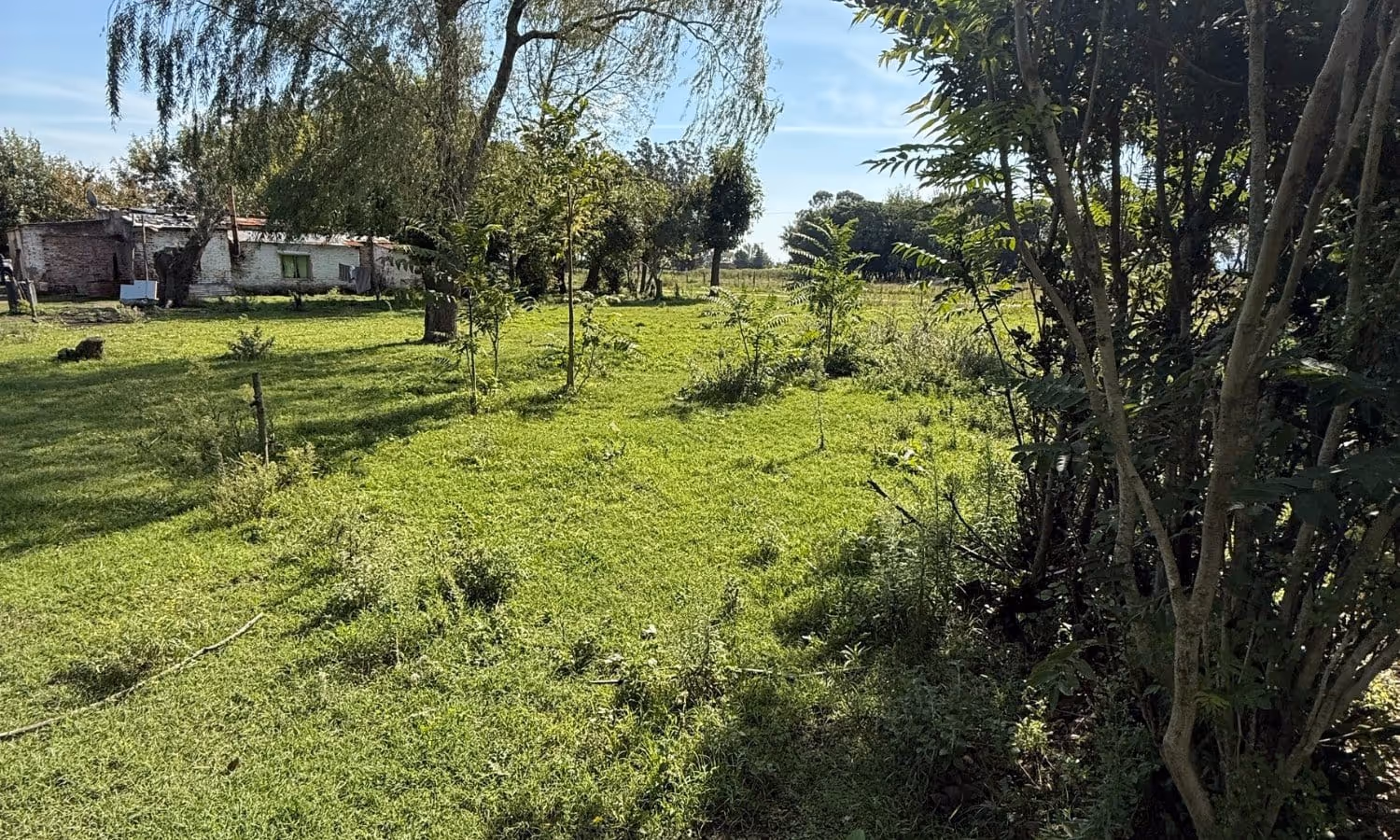 Lote en venta en Los Pinos — foto 5