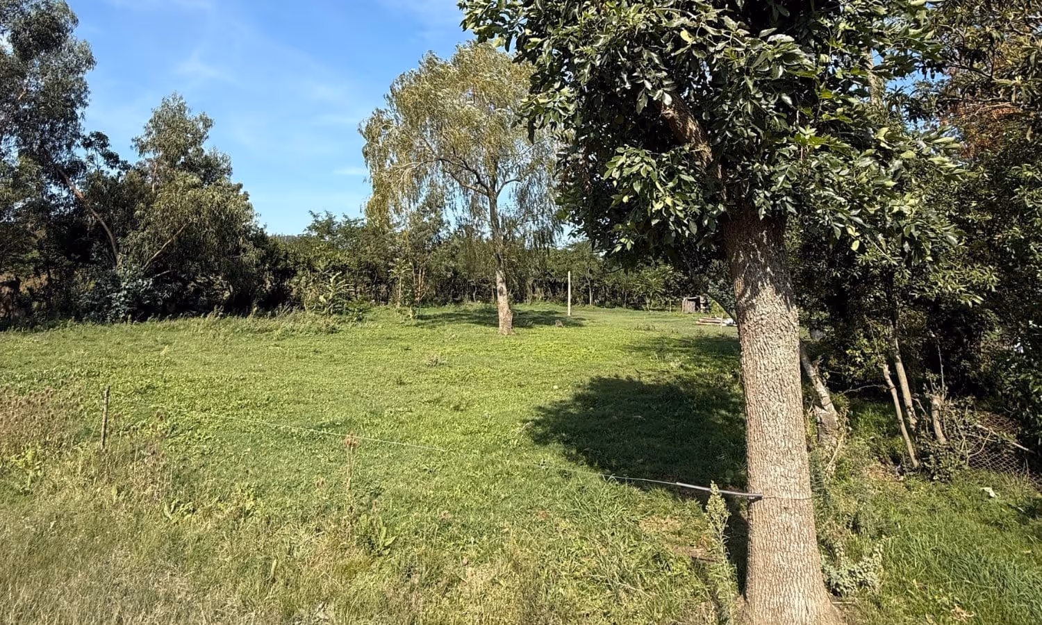 Lote en venta en Los Pinos — foto 7