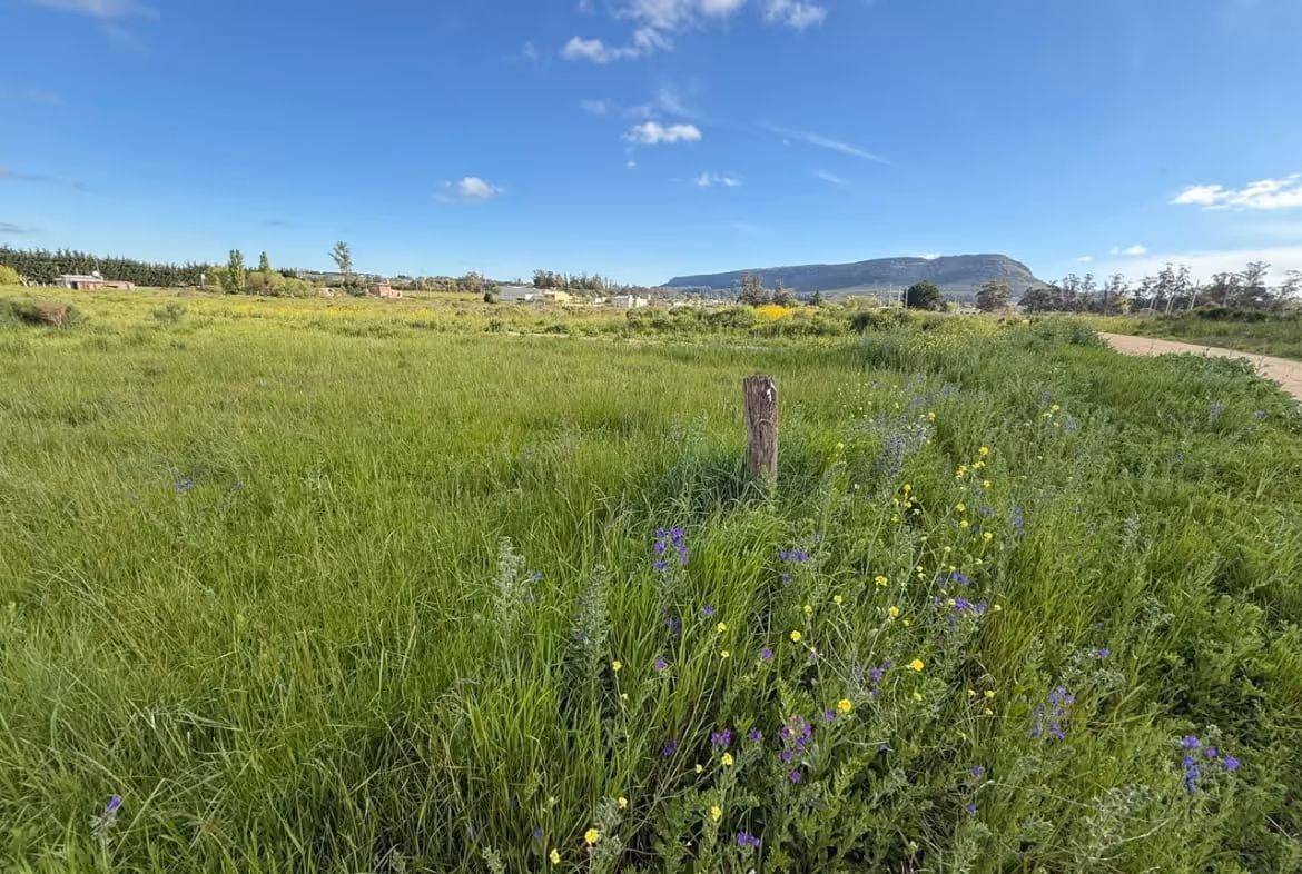 Frente de lote en venta en Balcarce