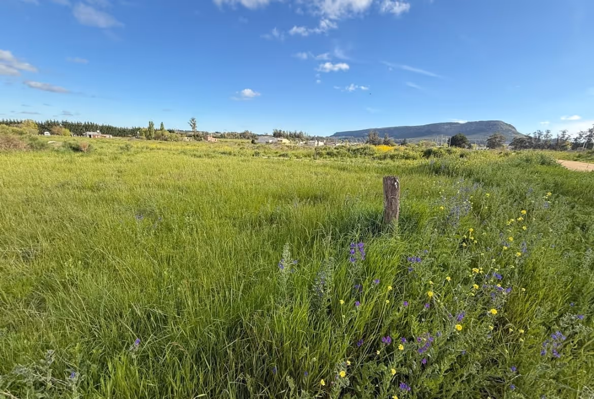 Lote en venta en Balcarce — foto 3