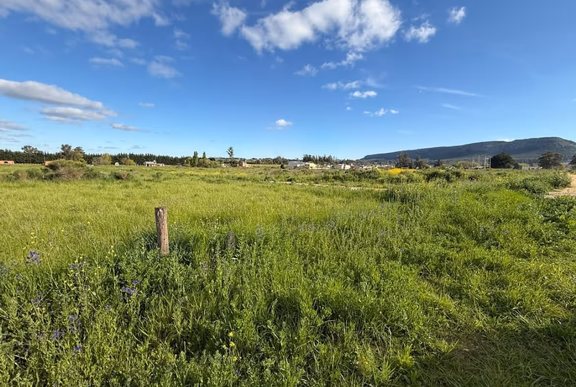 Lote en venta en Balcarce — foto 4