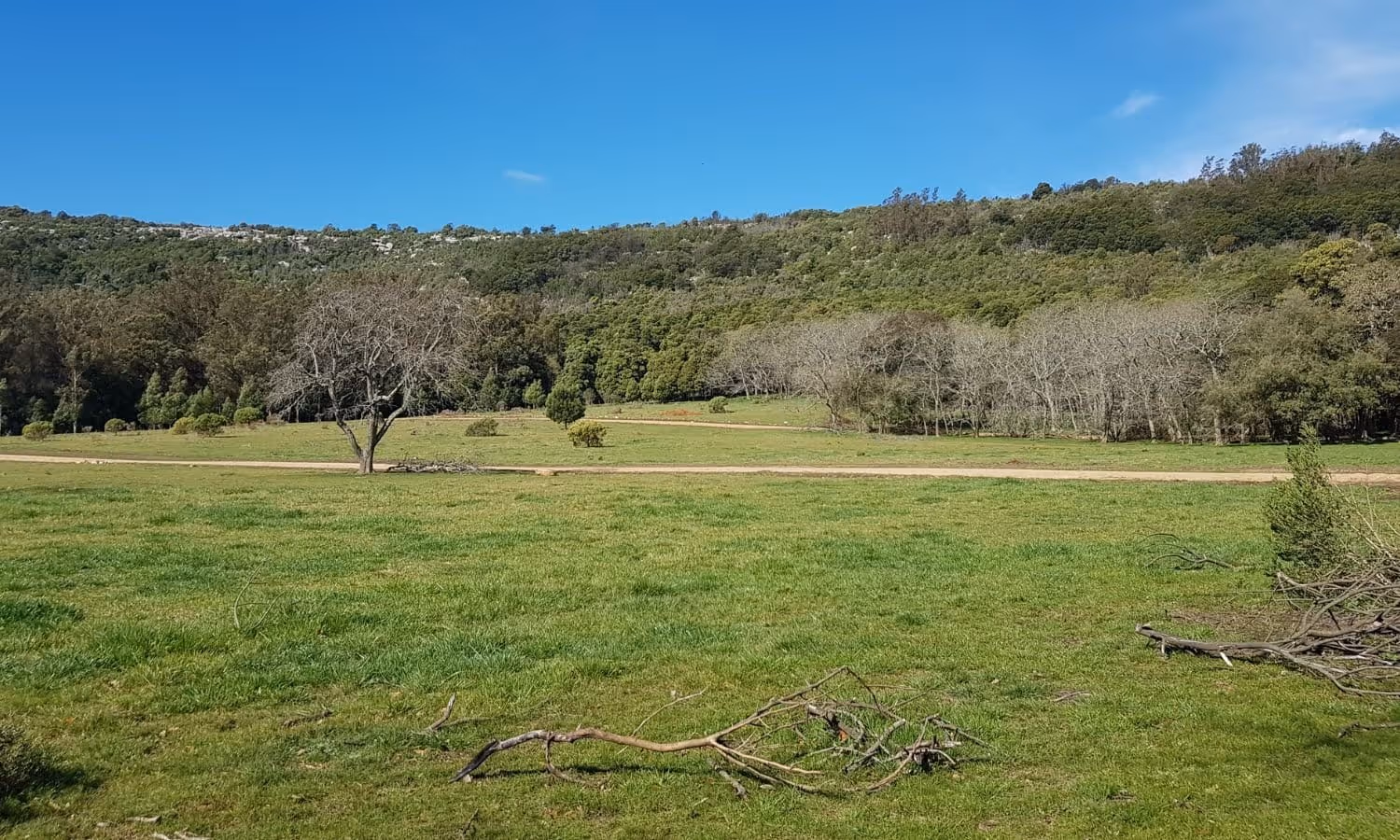 Frente de lote en venta en Balcarce