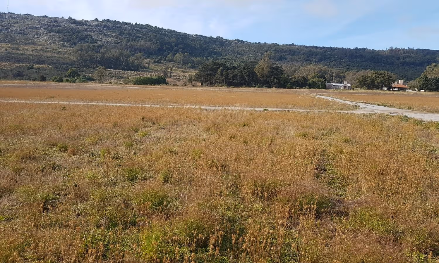 Frente de lote en venta en Balcarce