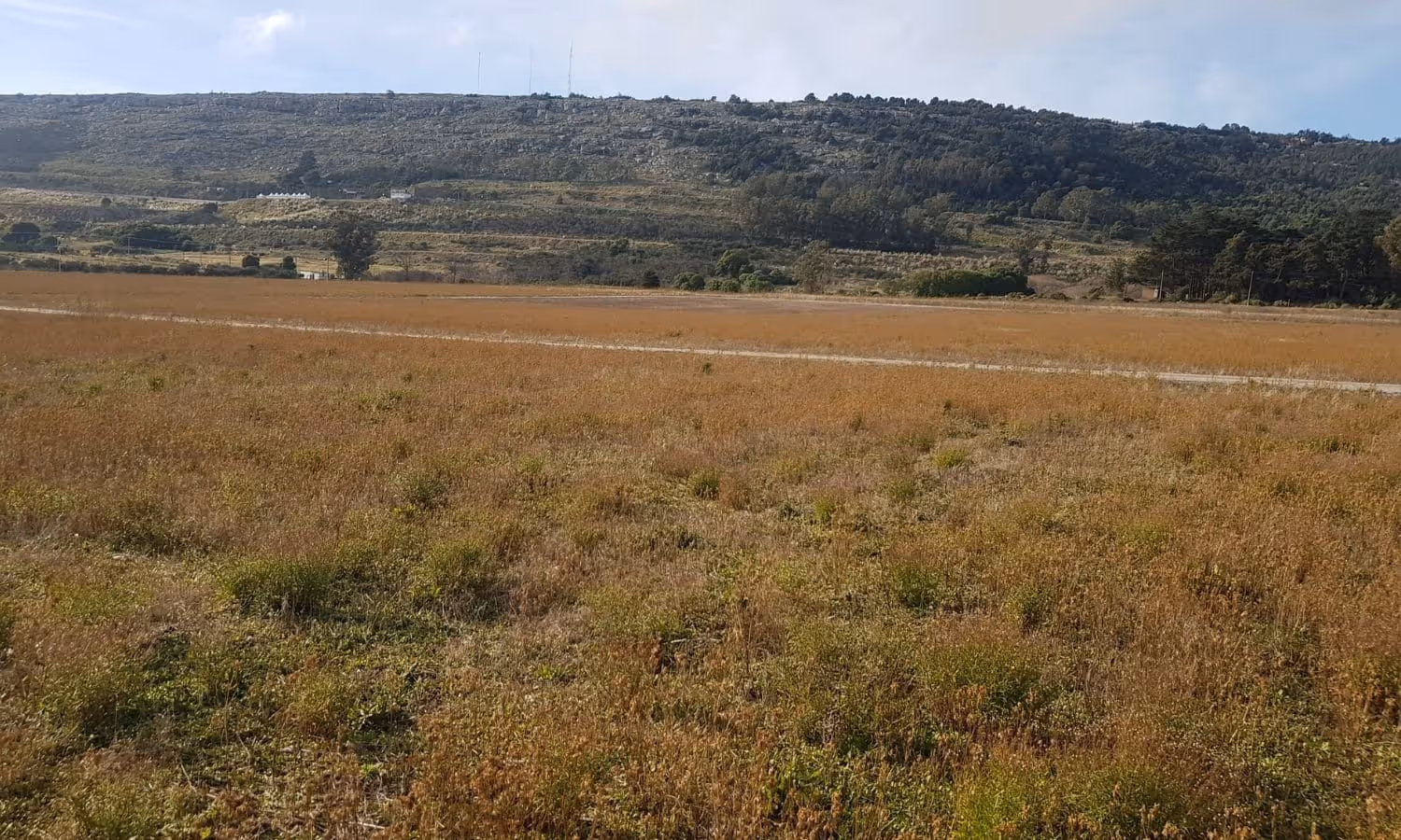 Lote en venta en Balcarce — foto 3