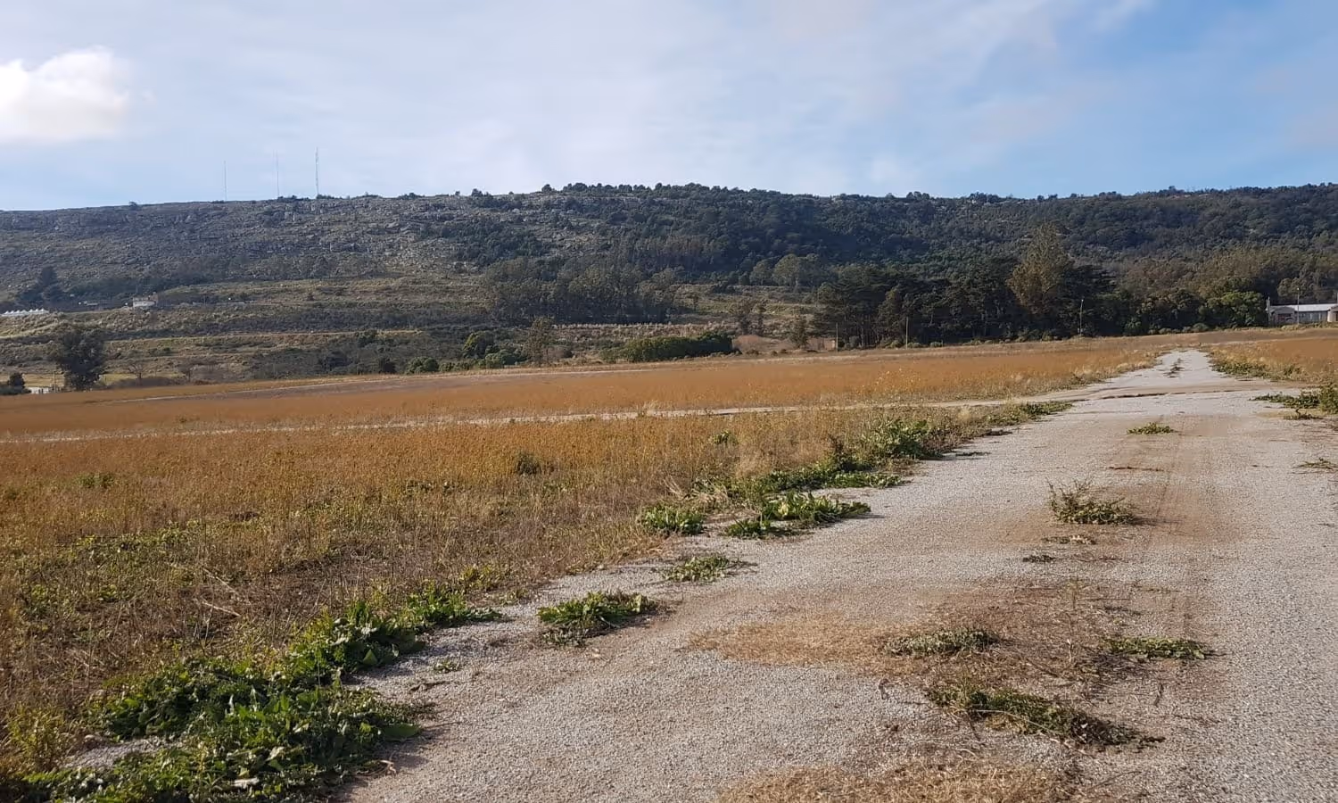 Lote en venta en Balcarce — foto 4