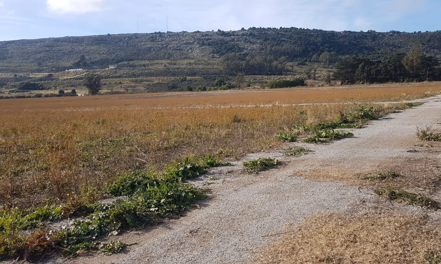 Lote en venta en Balcarce — foto 5