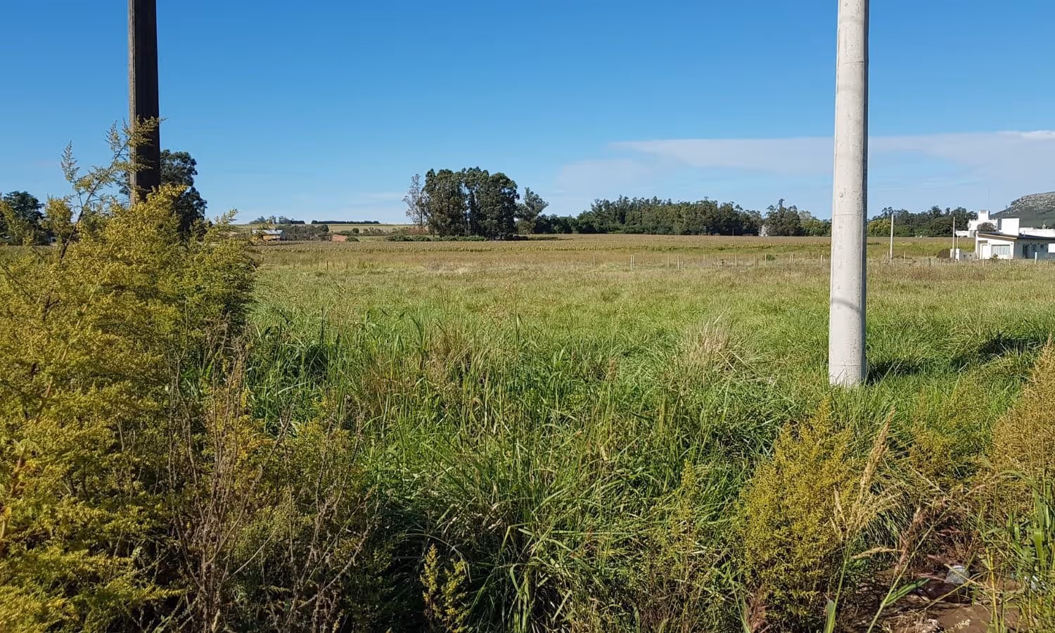 Lote en venta en Balcarce — foto 6