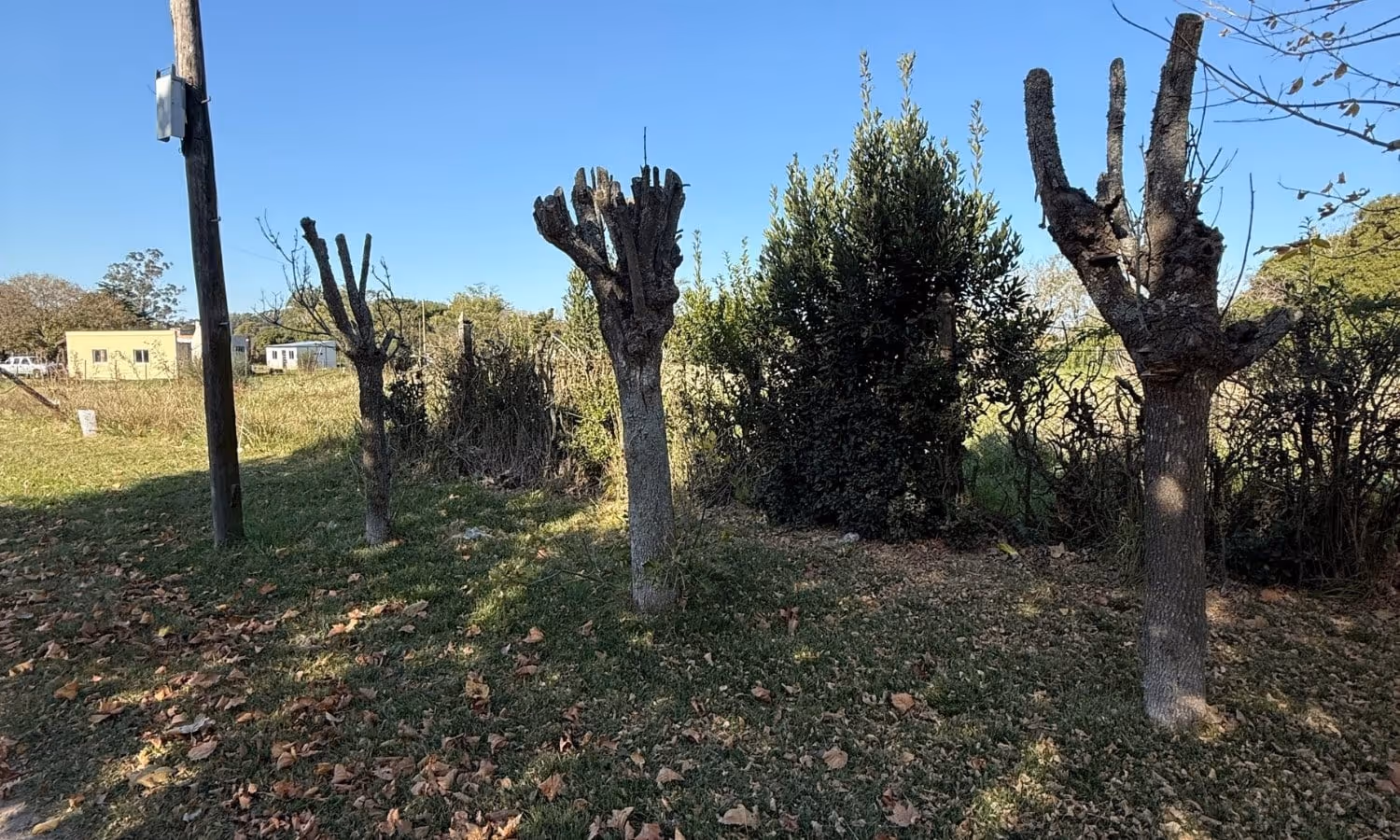 Lote en venta en Los Pinos — foto 3