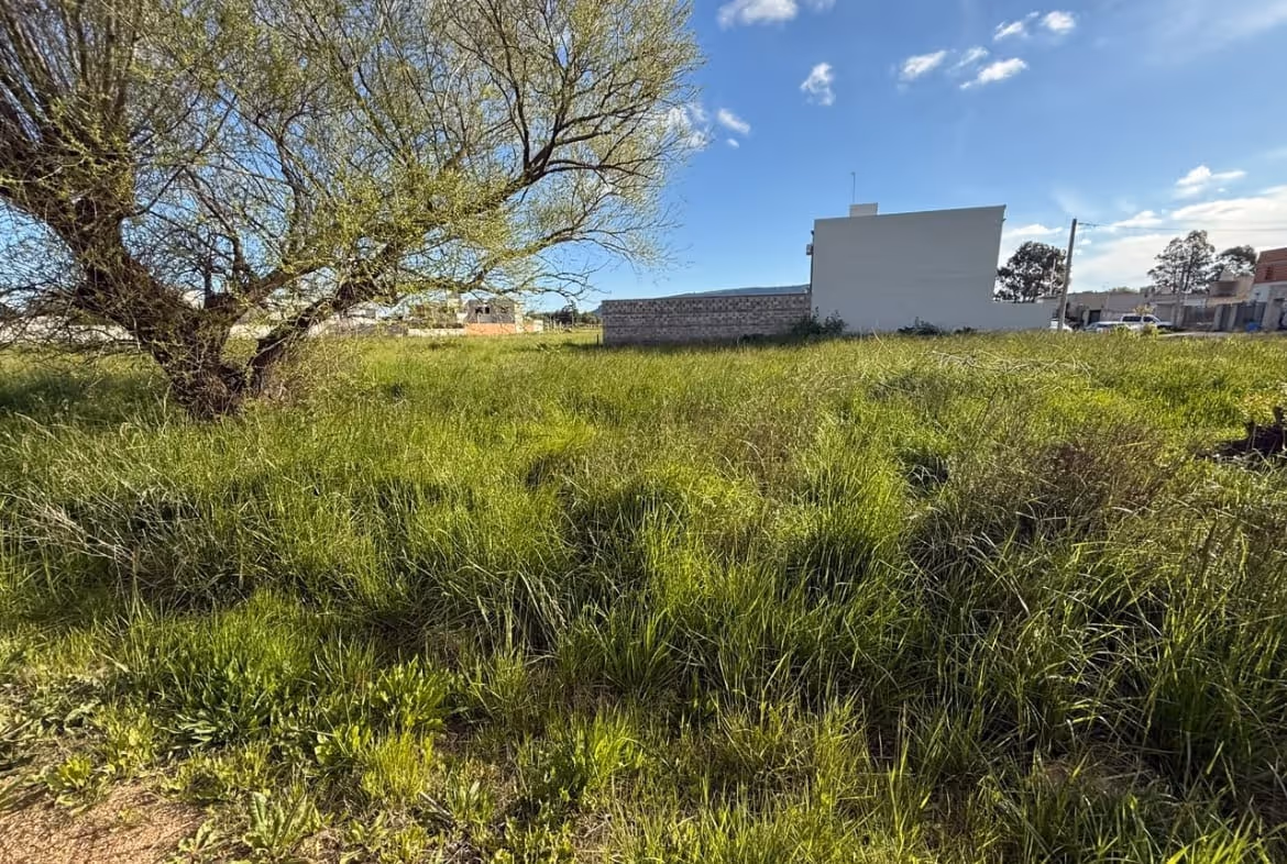 Lote en venta en Balcarce — foto 2