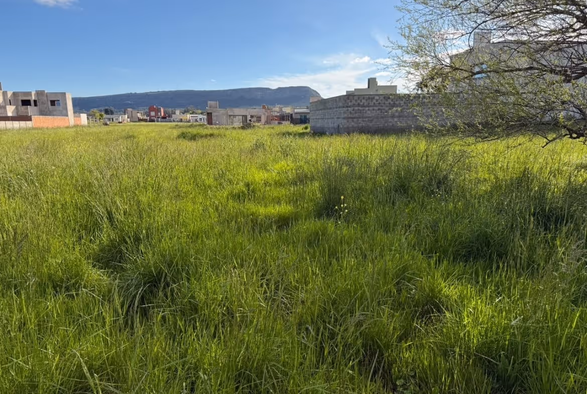 Lote en venta en Balcarce — foto 6
