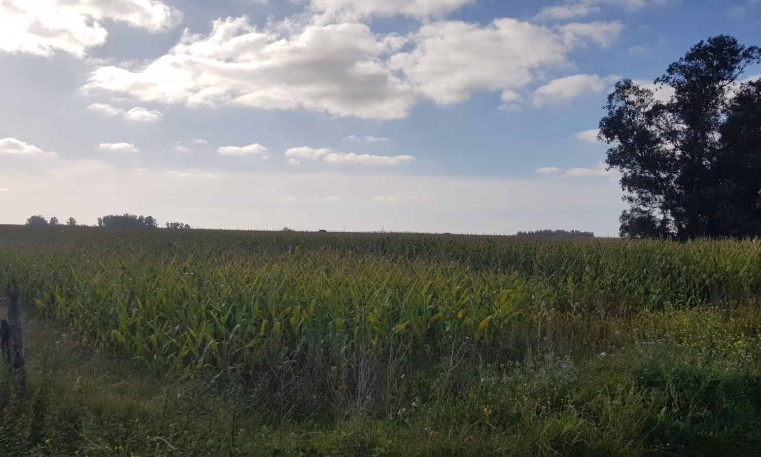 Frente de campo en venta en San Agustín