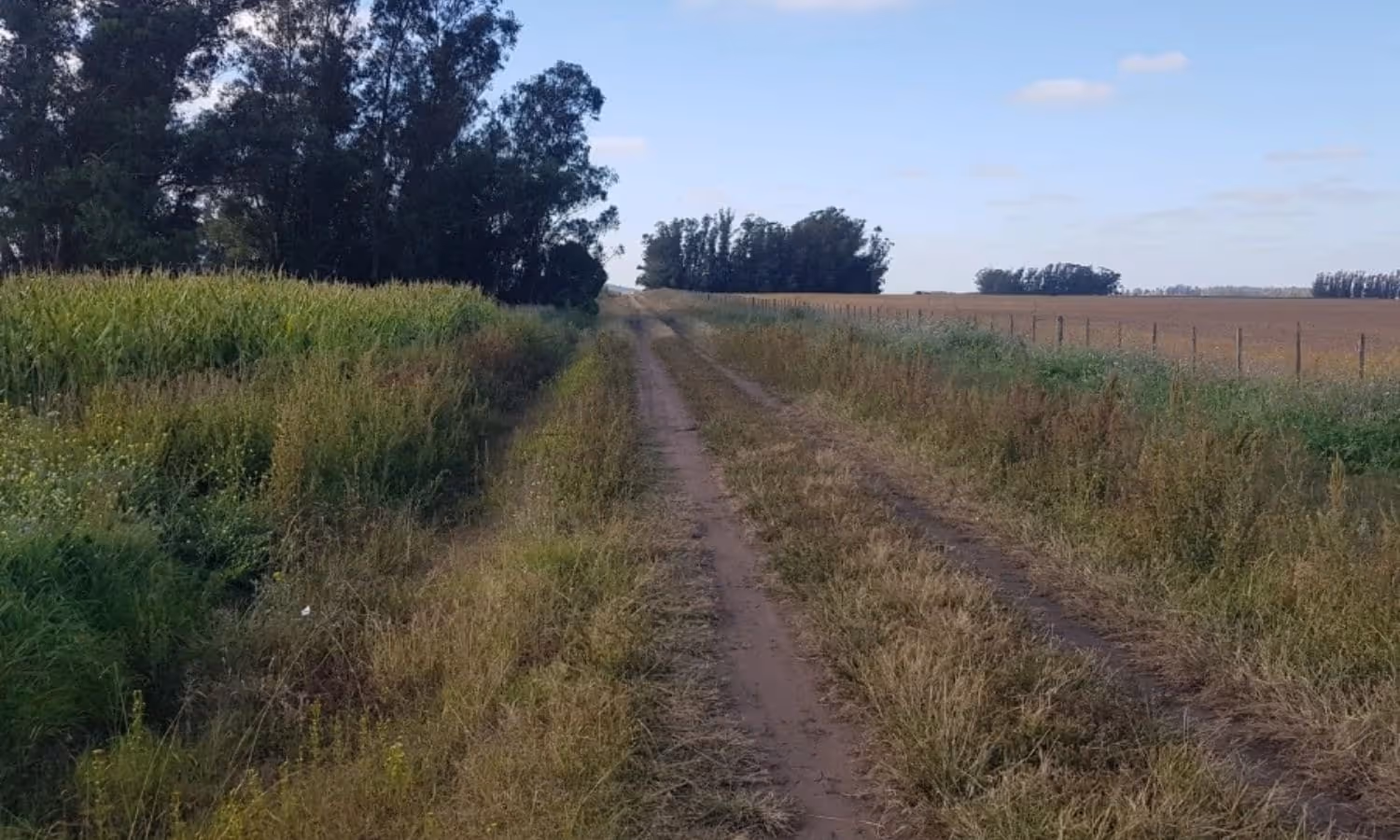 Campo en venta en San Agustín — foto 4
