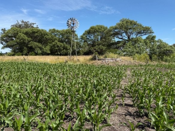 Campo agrícola en venta Mar Chiquita