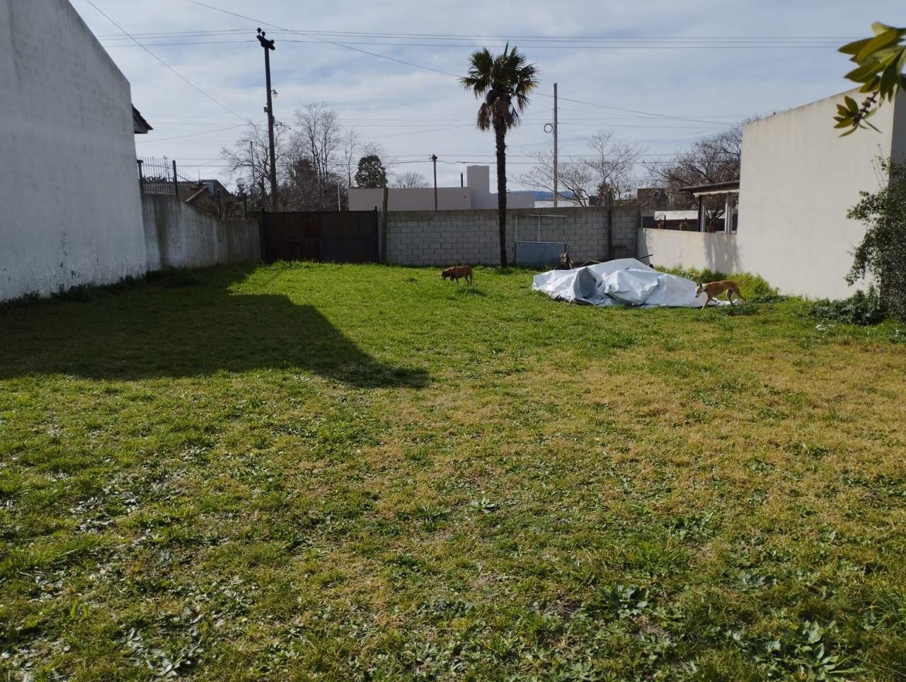 lote-venta-calle-39-balcarce-420m2